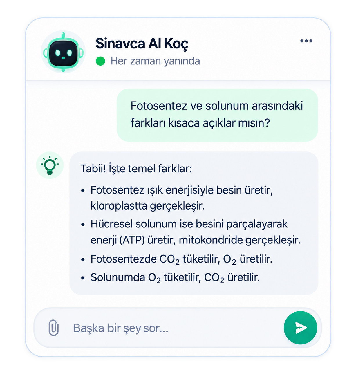 Sinavca AI Koç aracı